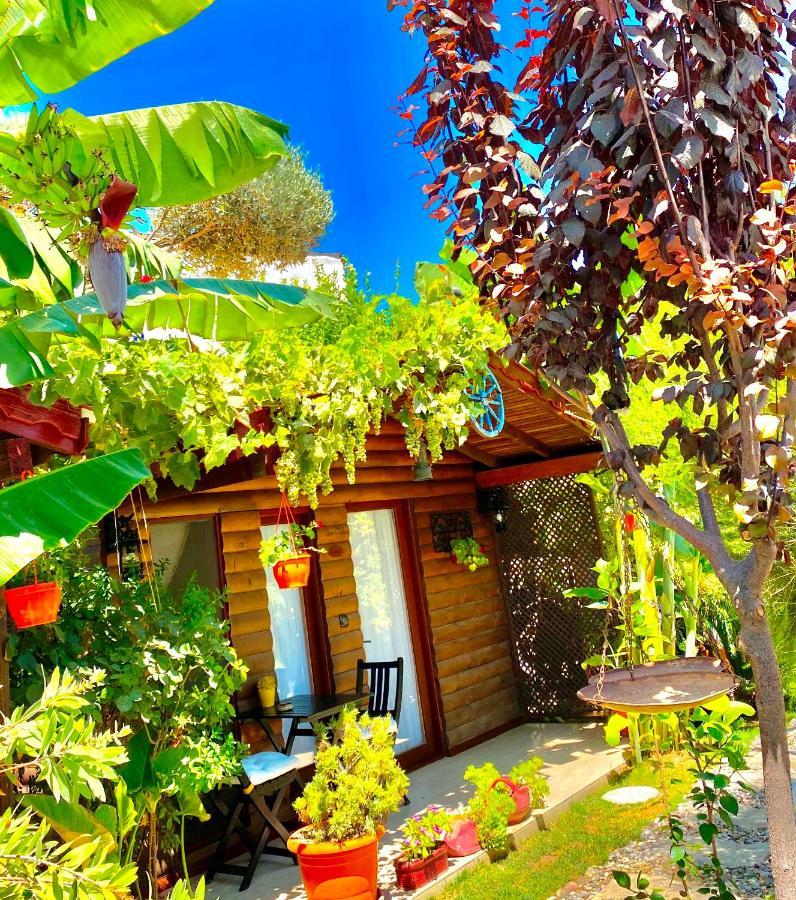 Alacati Kayezta Hotel 외부 사진