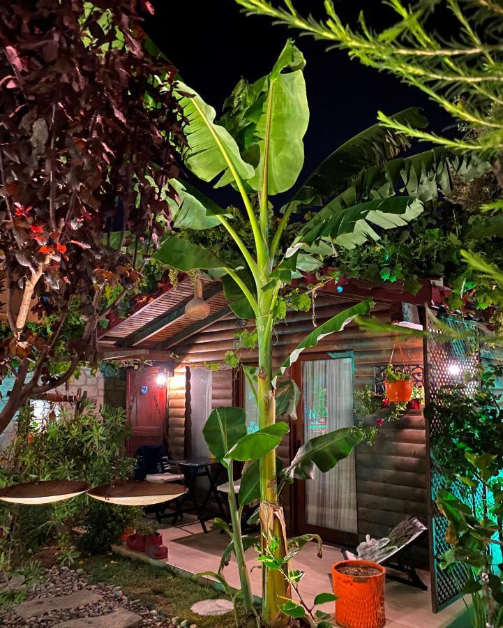 Alacati Kayezta Hotel 외부 사진